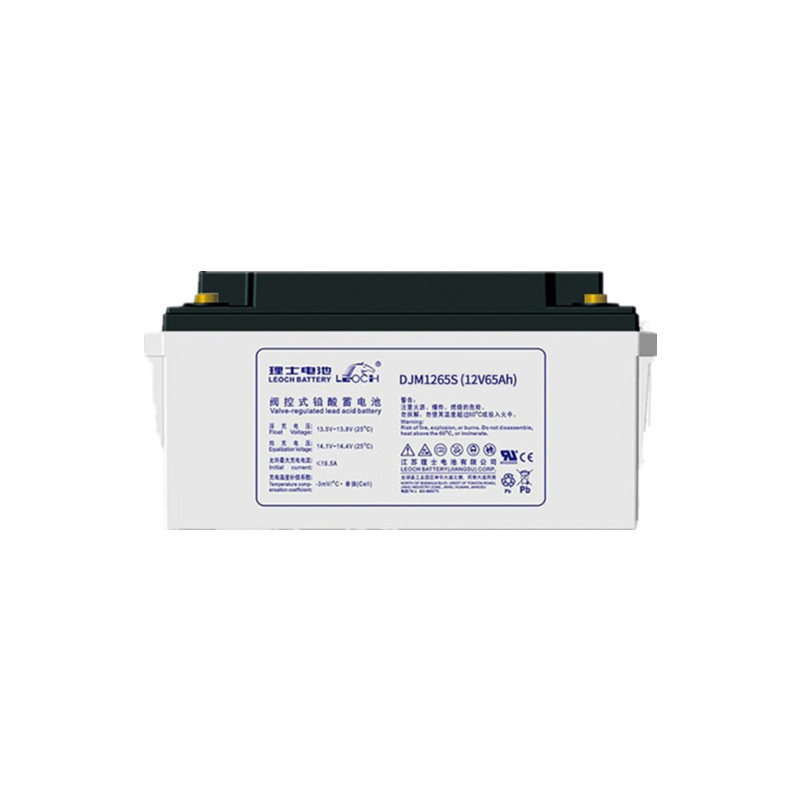 遵义理士蓄电池DJM1265（12V65AH）